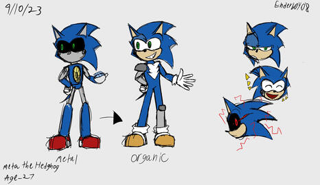 Guardian AU-Meta The Hedghog